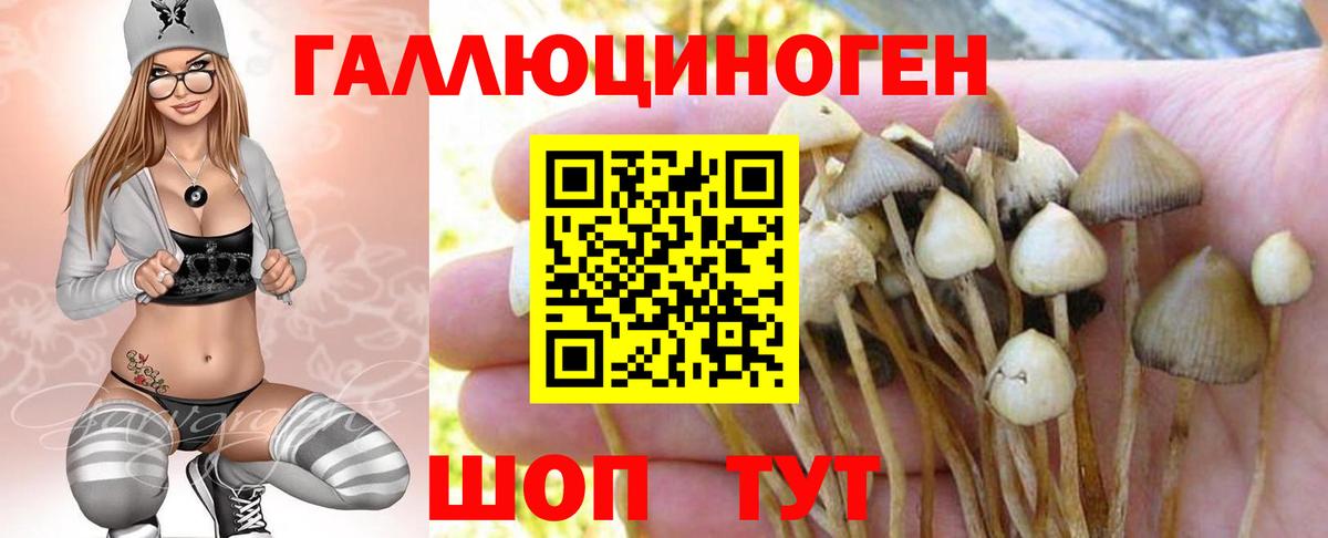 закладка  Псилоцибиновые грибы Magic Shrooms  Галлюциногенные грибы ЛСД  Вход с VPN  Кушва 